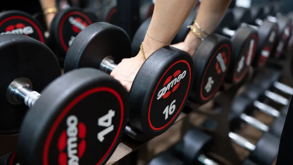 Why every fitness guru on the internet is technically correct (and also completely wrong)