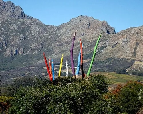 These 24 trees in south africa have been transformed into giant colored pencils