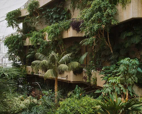 Inside the hidden jungle at the heart of London's brutalist icon