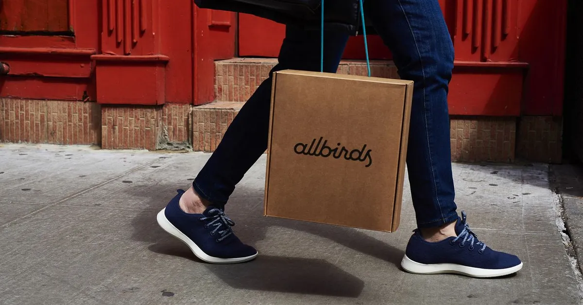Allbirds is becoming an AI company now, because of course it is