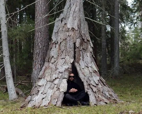 This Swedish hut is literally built around a living tree, and it's as magical as it sounds