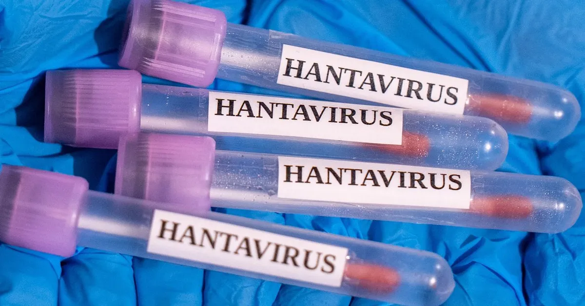 Yes, there's a hantavirus outbreak on a cruise ship - but please put down the hazmat suit