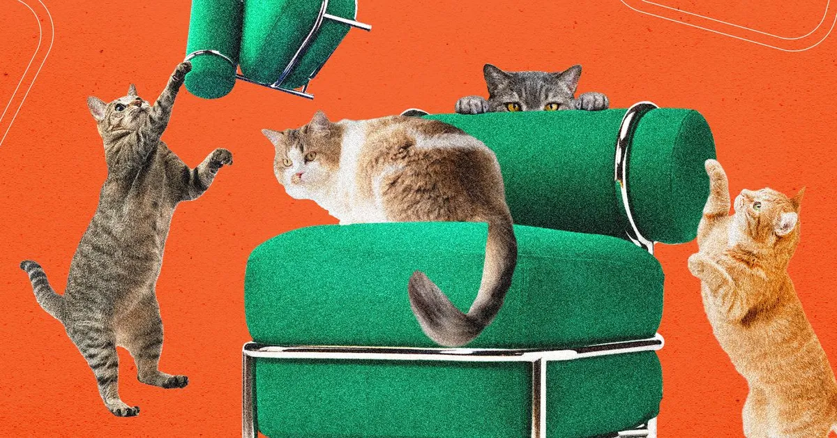 Ikea's inflatable chair is back - and this time it's cat-proof