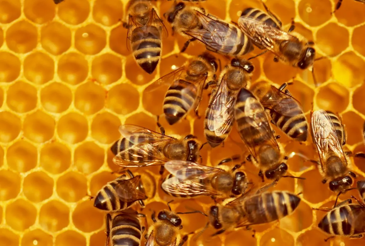 Beehiiv wants to be your entire creator business, not just your newsletter